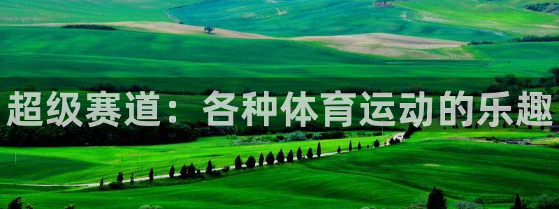77体育：超级赛道：各种体育运动的乐趣