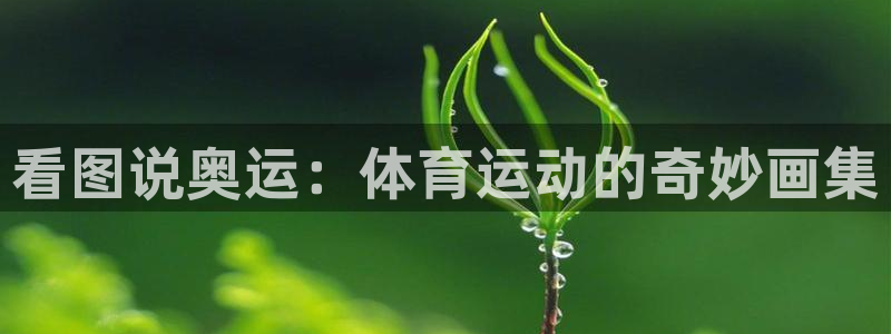 皇冠277体育：看图说奥运：体育运动的奇妙画集