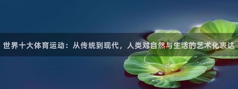 77体育：世界十大体育运动：从传统到现代，人类对自然与生活的艺术化表达