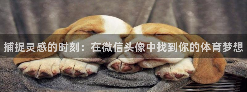 77体育