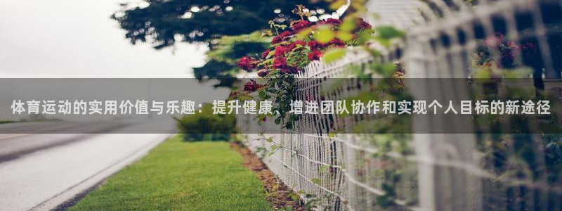 77体育：体育运动的实用价值与乐趣：提升健康、增进团队协作和实现个人目标的新途径