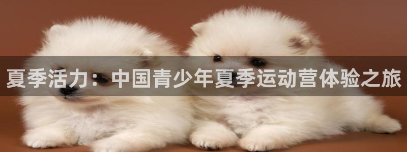 77体育app下载官网：夏季活力：中国青少年夏季运动营体验之旅