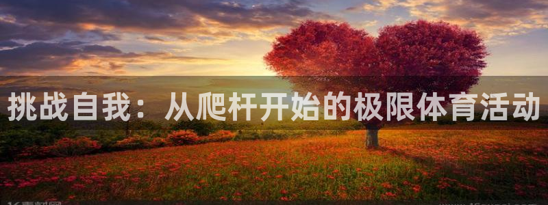 77体育官网：挑战自我：从爬杆开始的极限体育活动