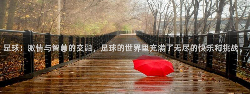 皇冠277体育：足球：激情与智慧的交融，足球的世界里充满了无尽的快乐和挑战。