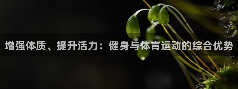 77体育官网：增强体质、提升活力：健身与体育运动的综合优势