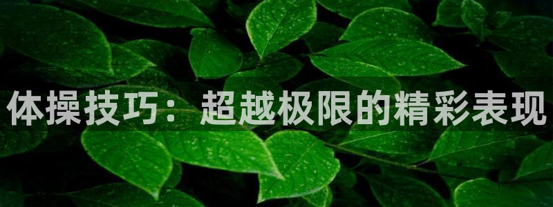 77体育：体操技巧：超越极限的精彩表现