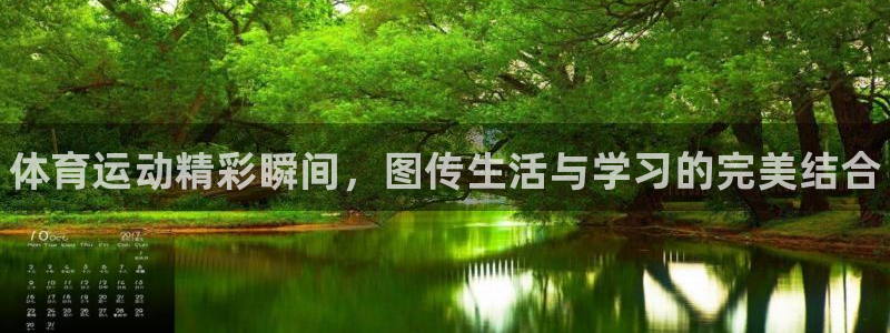 77体育官网：体育运动精彩瞬间，图传生活与学习的完美结合