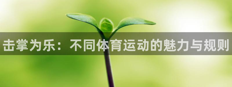 77体育官网：击掌为乐：不同体育运动的魅力与规则