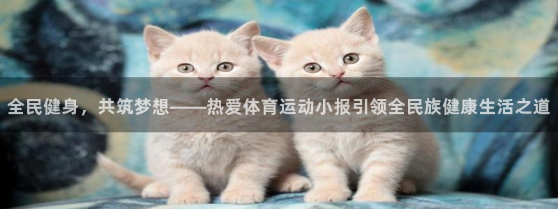 77体育：全民健身，共筑梦想——热爱体育运动小报引领全民族健康生活之道