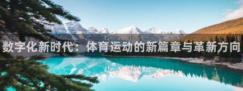 77体育官网：数字化新时代：体育运动的新篇章与革新方向