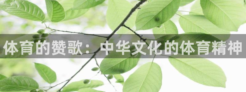 77体育官网：体育的赞歌：中华文化的体育精神