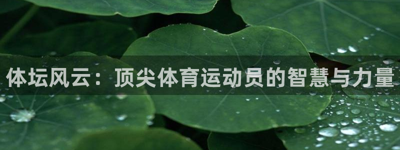 77体育app下载官网：体坛风云：顶尖体育运动员的智慧与力量
