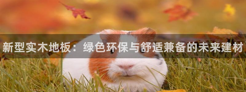 皇冠277体育：新型实木地板：绿色环保与舒适兼备的未来建材