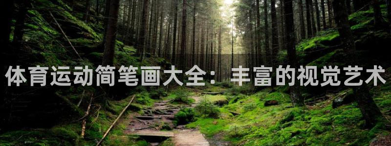 77体育：体育运动简笔画大全：丰富的视觉艺术