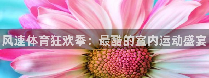 77体育：风速体育狂欢季：最酷的室内运动盛宴