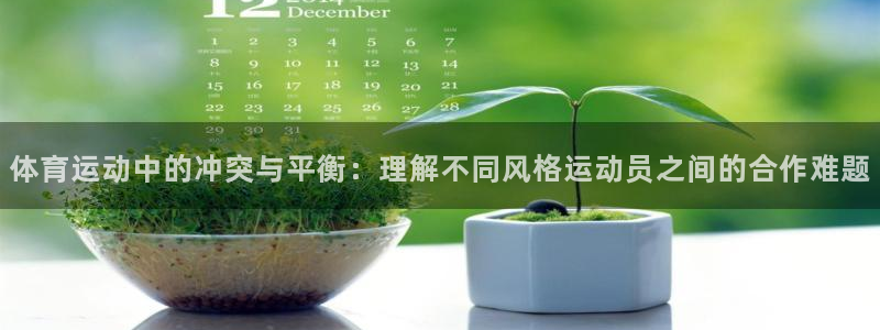 77体育app下载官网：体育运动中的冲突与平衡：理解不同风格运动员之间的合作难题