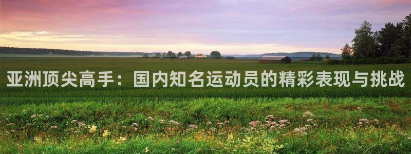77体育官网：亚洲顶尖高手：国内知名运动员的精彩表现与挑战