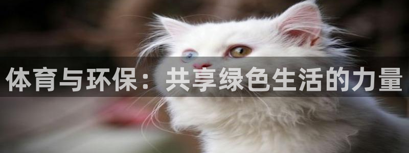 77体育app下载官网：体育与环保：共享绿色生活的力量