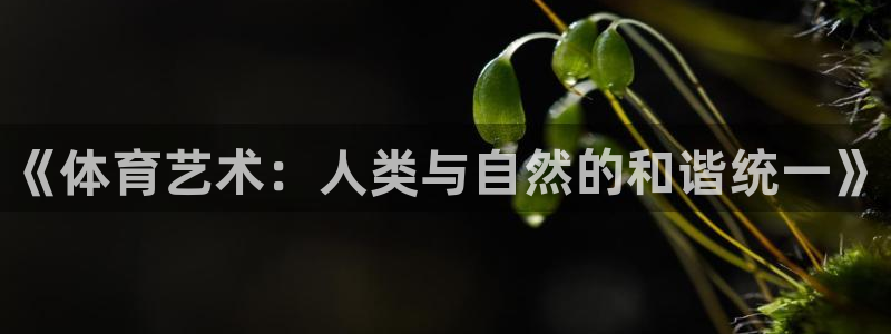 77体育官网：《体育艺术：人类与自然的和谐统一》