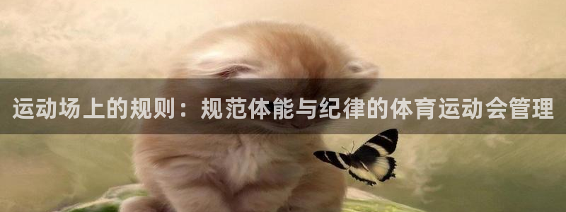 77体育：运动场上的规则：规范体能与纪律的体育运动会管理