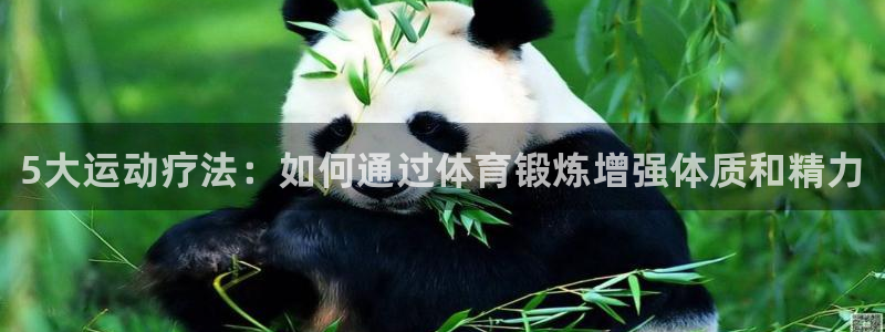 77体育app下载官网：5大运动疗法：如何通过体育锻炼增强体质和精力
