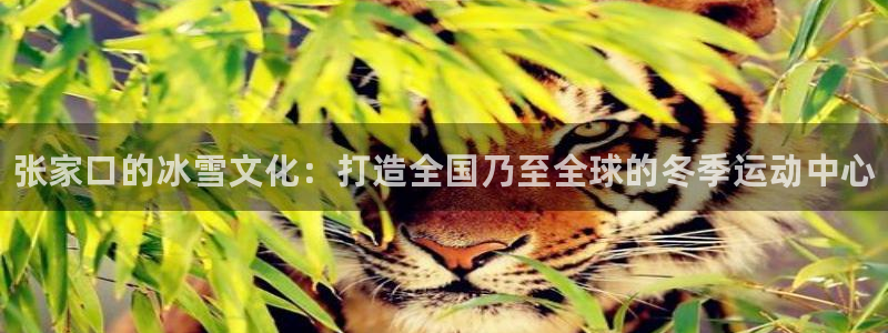 皇冠277体育：张家口的冰雪文化：打造全国乃至全球的冬季运动中心