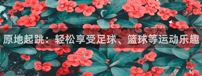 77体育：原地起跳：轻松享受足球、篮球等运动乐趣