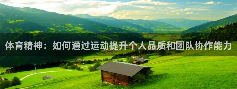 77体育官网：体育精神：如何通过运动提升个人品质和团队协作能力