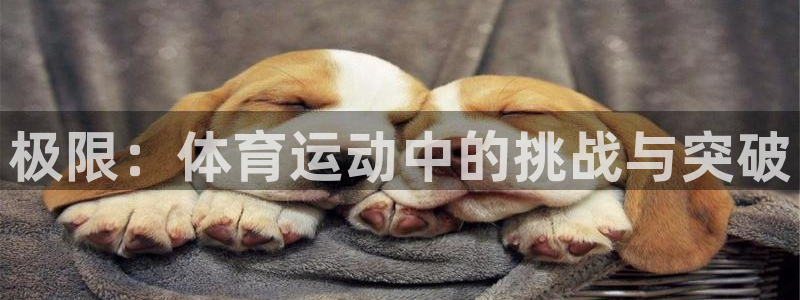 77体育官网：极限：体育运动中的挑战与突破