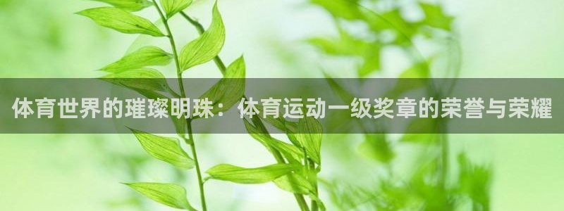 77体育：体育世界的璀璨明珠：体育运动一级奖章的荣誉与荣耀