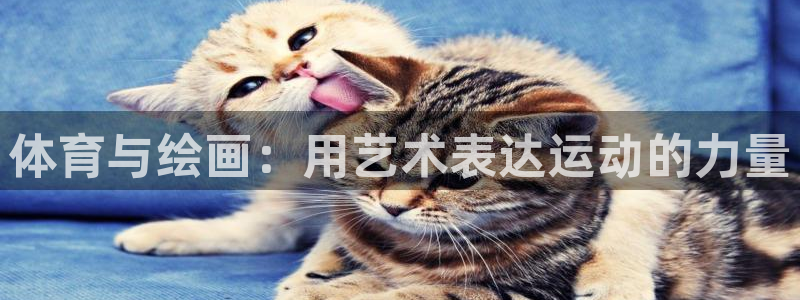 皇冠277体育