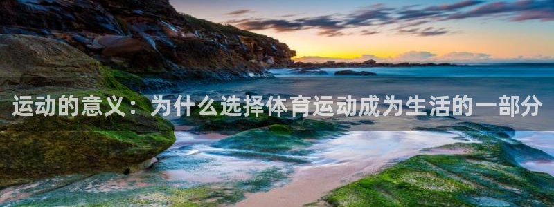77体育