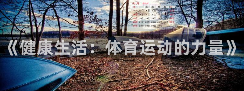 77体育官网