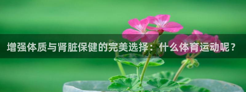 77体育