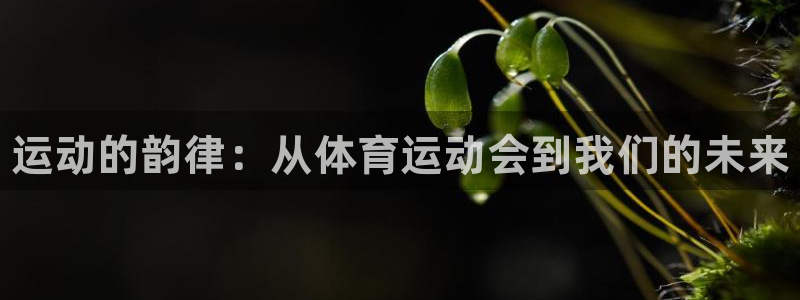 皇冠277体育