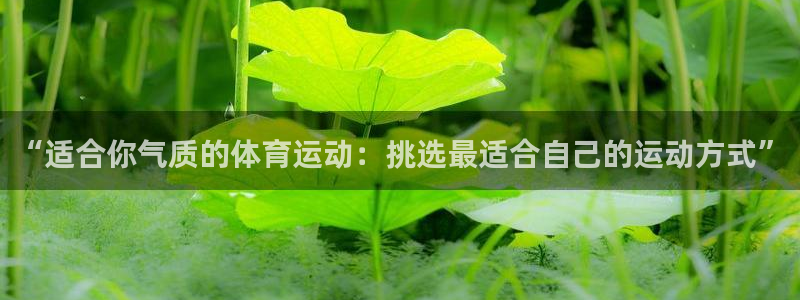 77体育官网