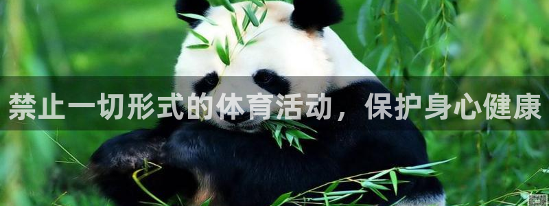 77体育app下载官网