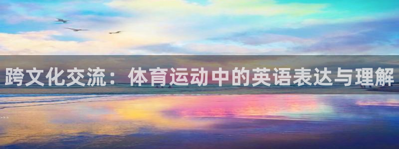 77体育app下载官网
