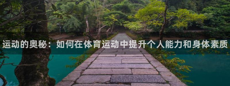 77体育