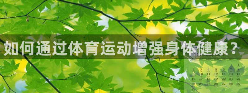 77体育app下载官网