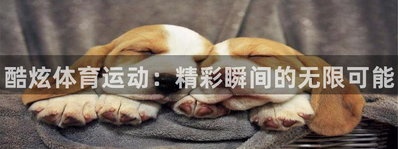 77体育
