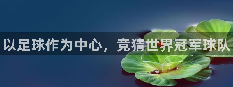 77体育app下载官网