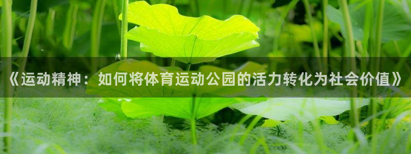77体育：《运动精神：如何将体育运动公园的活力转化为社会价值》