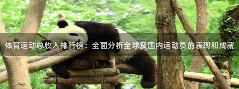 77体育官网：体育运动总收入排行榜：全面分析全球及国内运动员的表现和成就